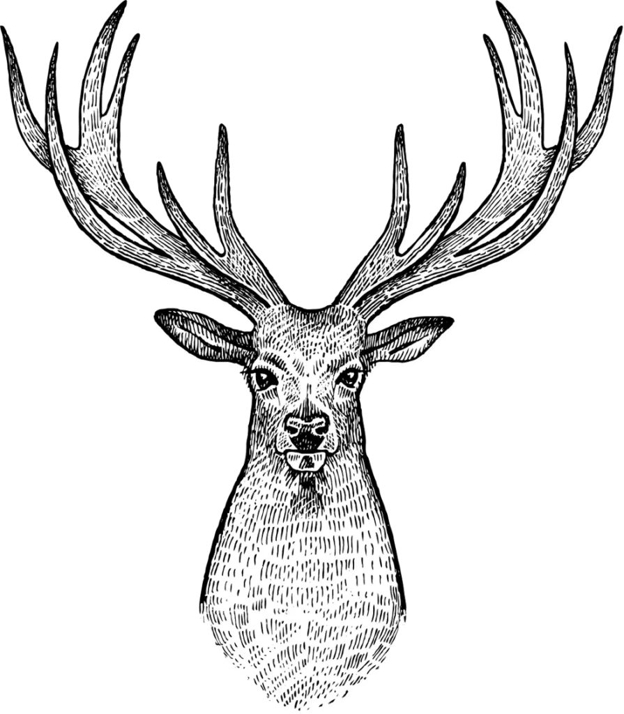 cerf